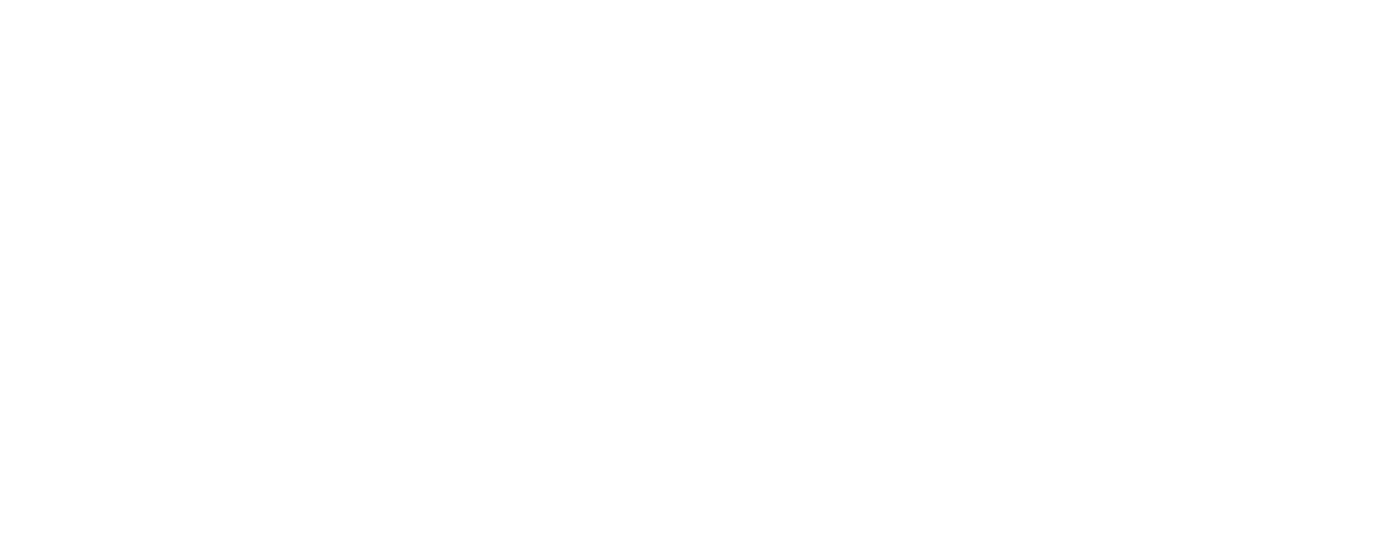 Bird Nird logo