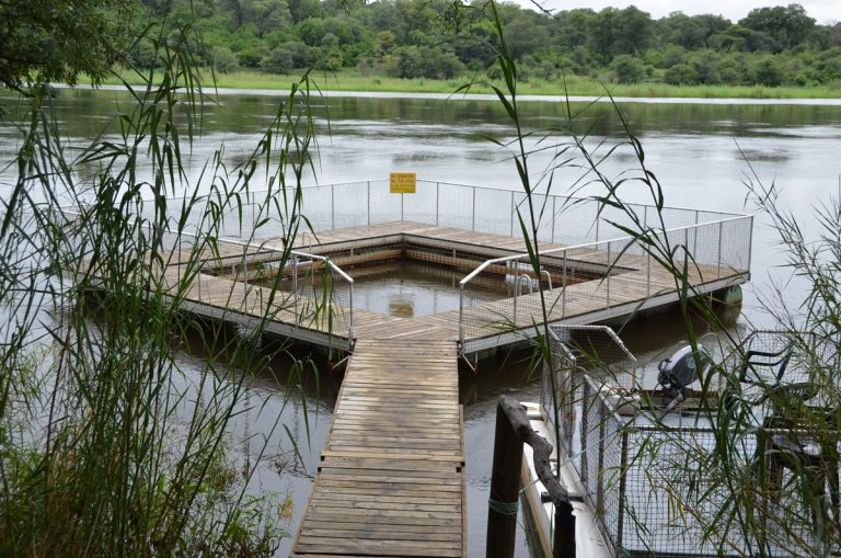 Splashing about the Caprivi